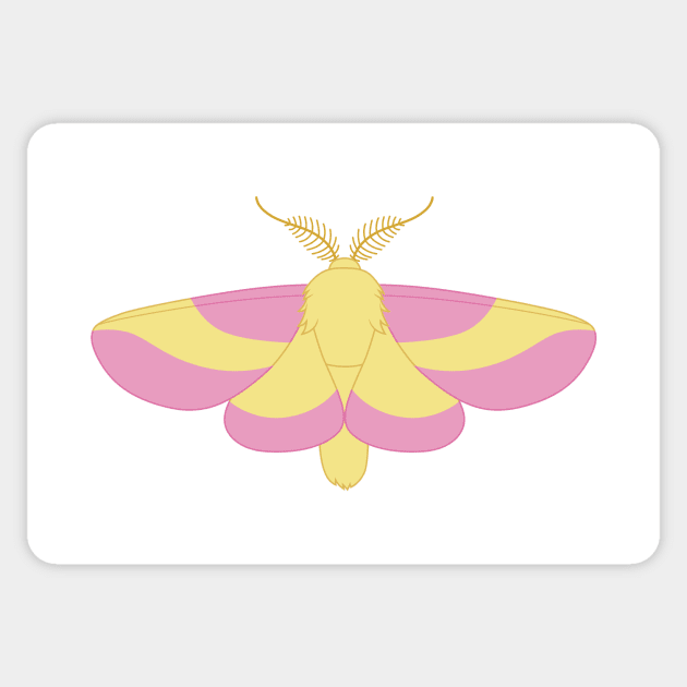 rosy maple moth Sticker by CloudyGlow